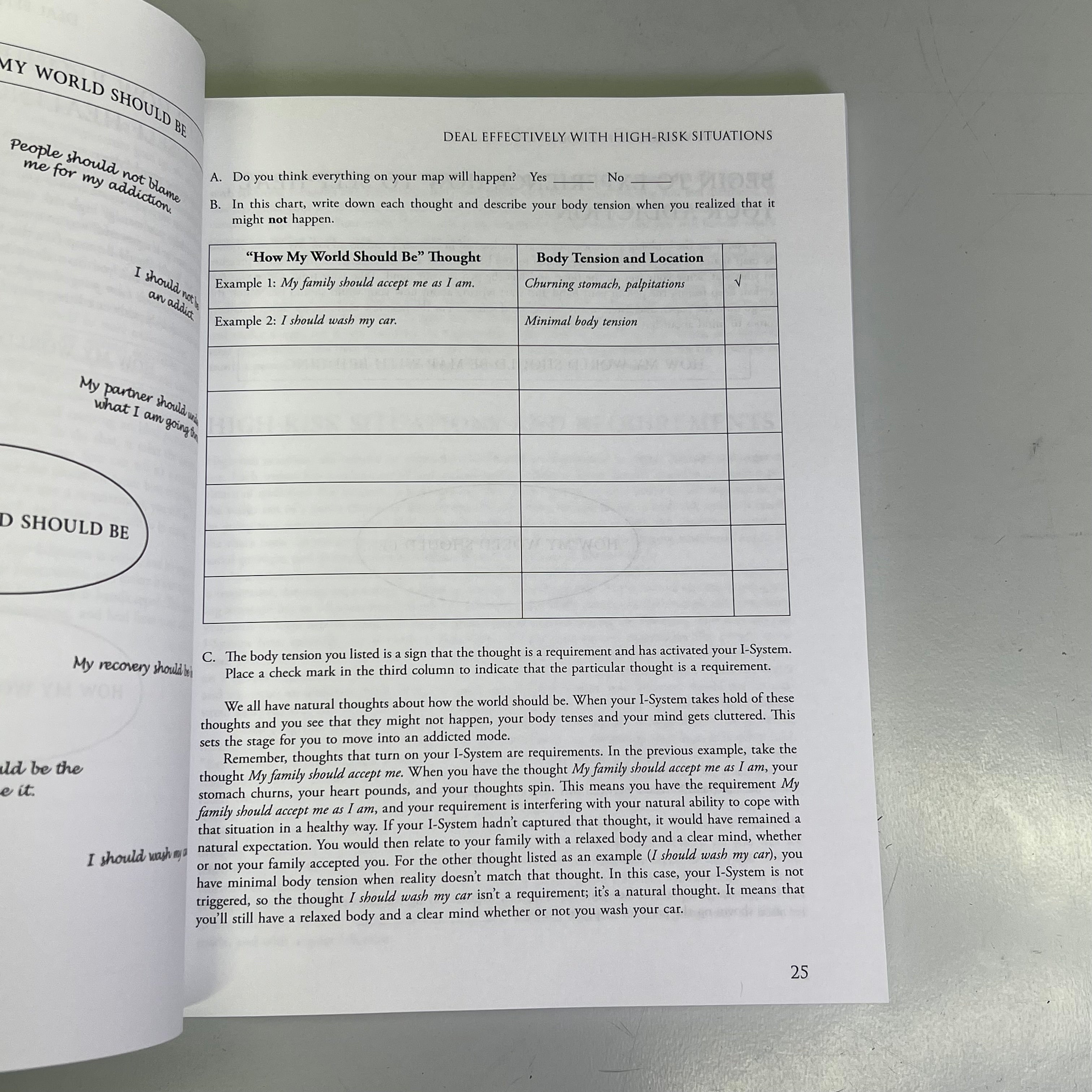 MIND-BODY WORKBOOK FOR ADDICTION Effective Tools Substance Abuse Recovery Book