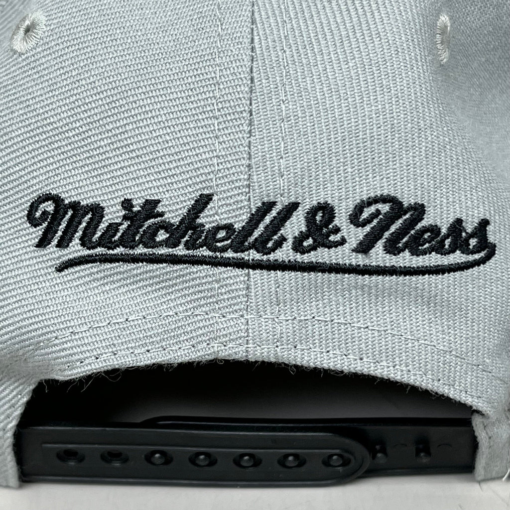 MITCHEL & NESS Chicago Bulls 2.0 Snapback Hat Men's Grey/Black One Size