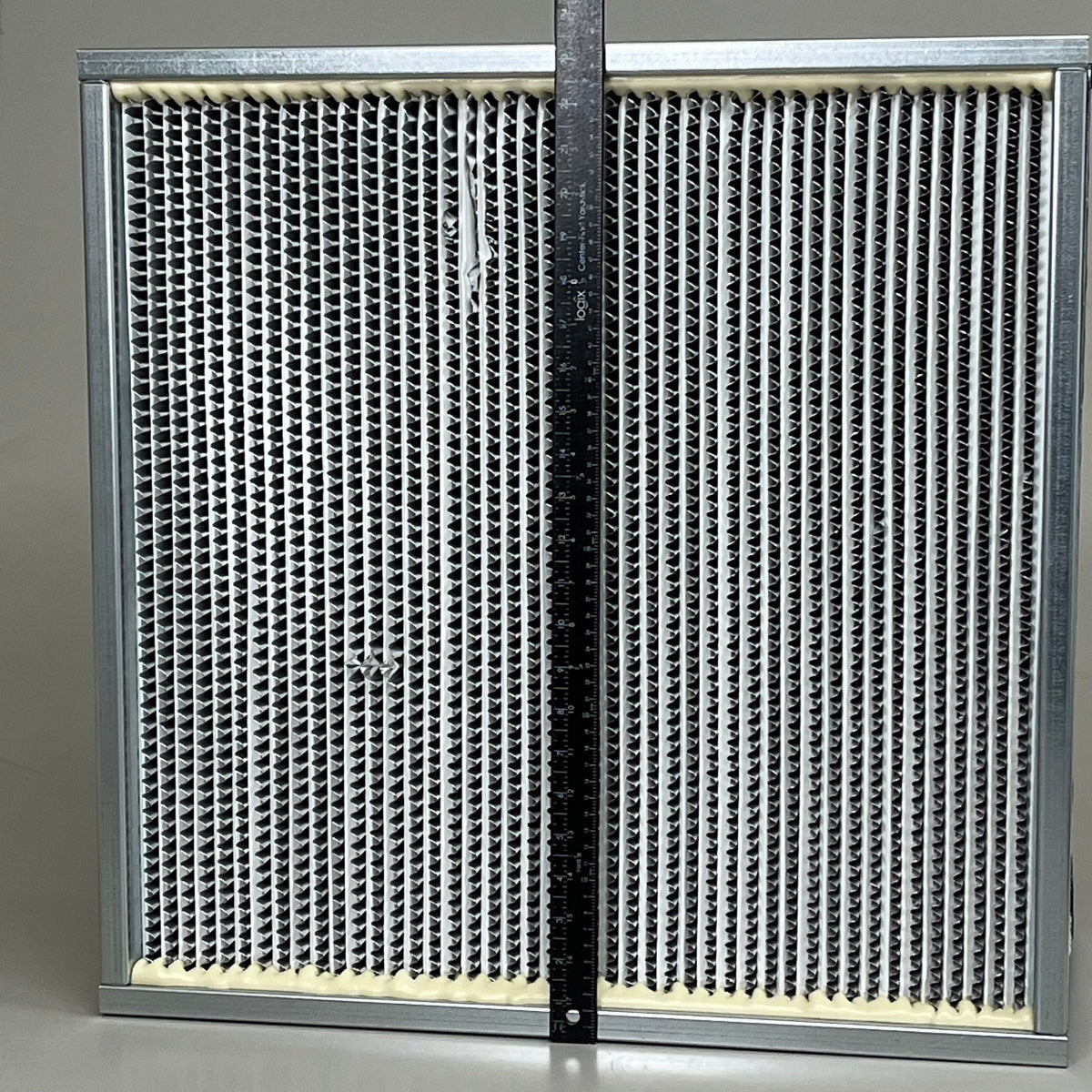BIOMAX Koch Filter H49B3X2 High Efficiency Particulate Air (HEPA) Filter