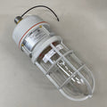 SPEAKMAN Vapor Proof Hazardous Non-Metallic Light 14" L x 5" W Clear/White VPL-C1D2