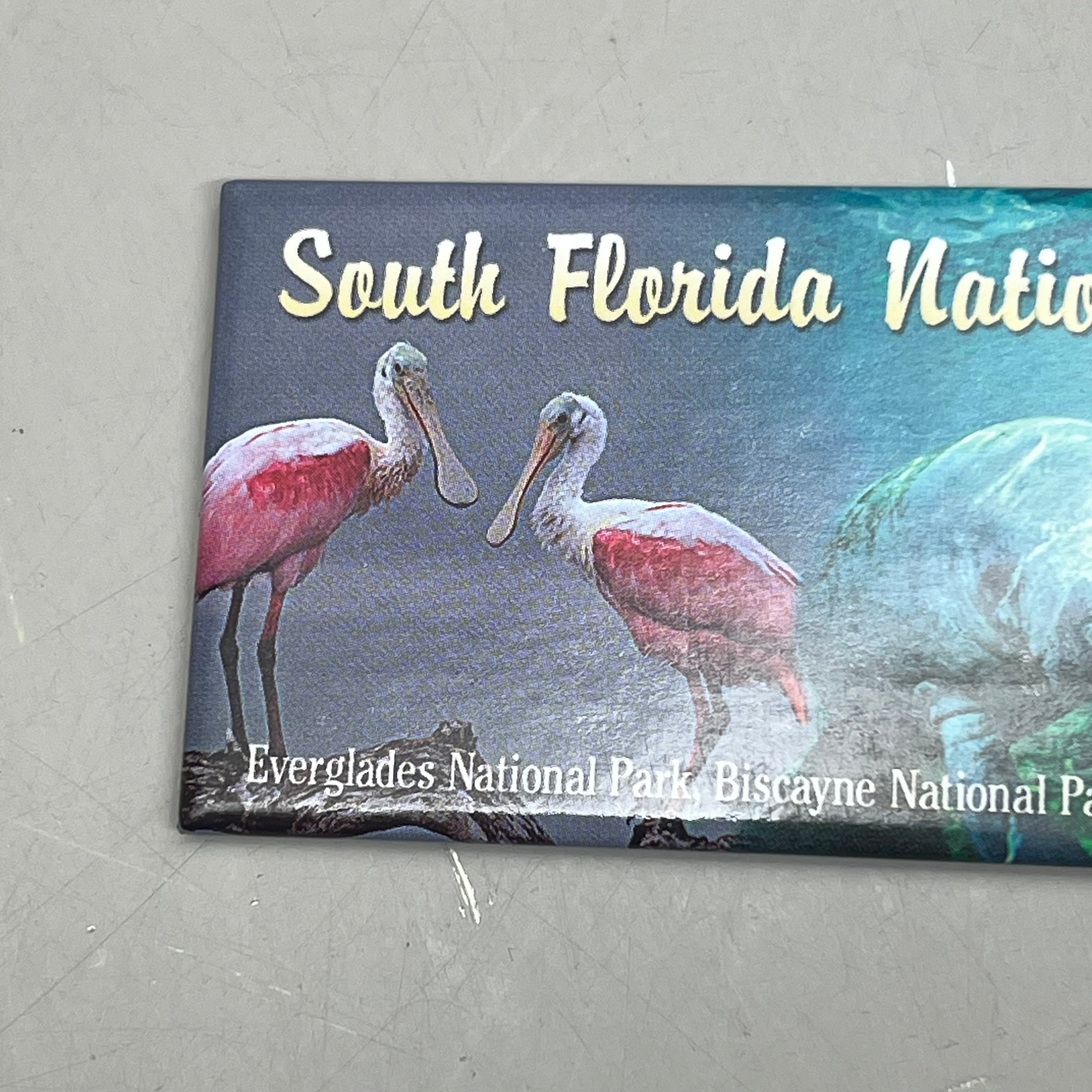 MAGNET (10 PACK) South Florida National Parks 5"x2" Multicolor
