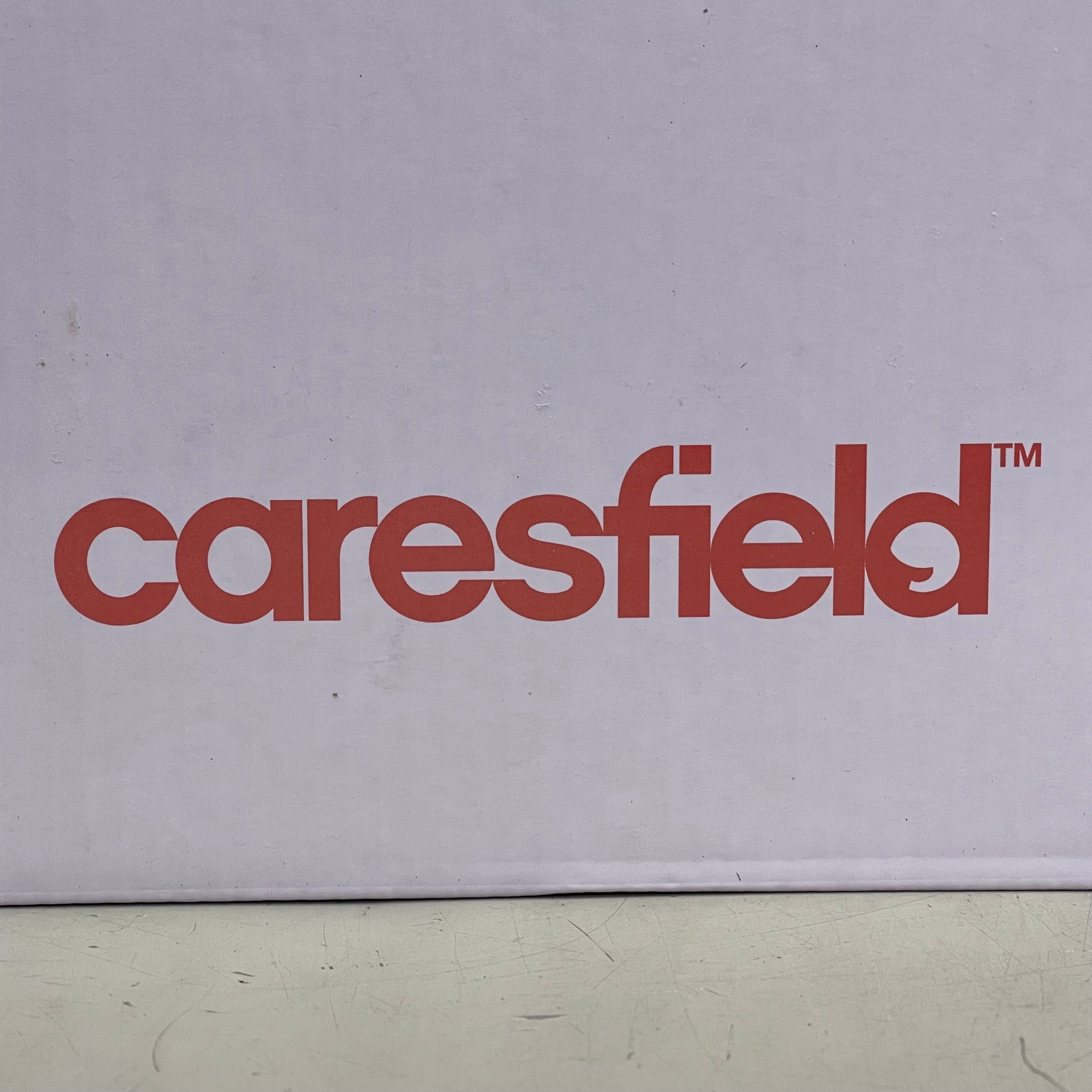 CARESFIELD Smooth Tourniquets, Disposable 1" x 18", 250 pcs/box Orange 48NLO-FP