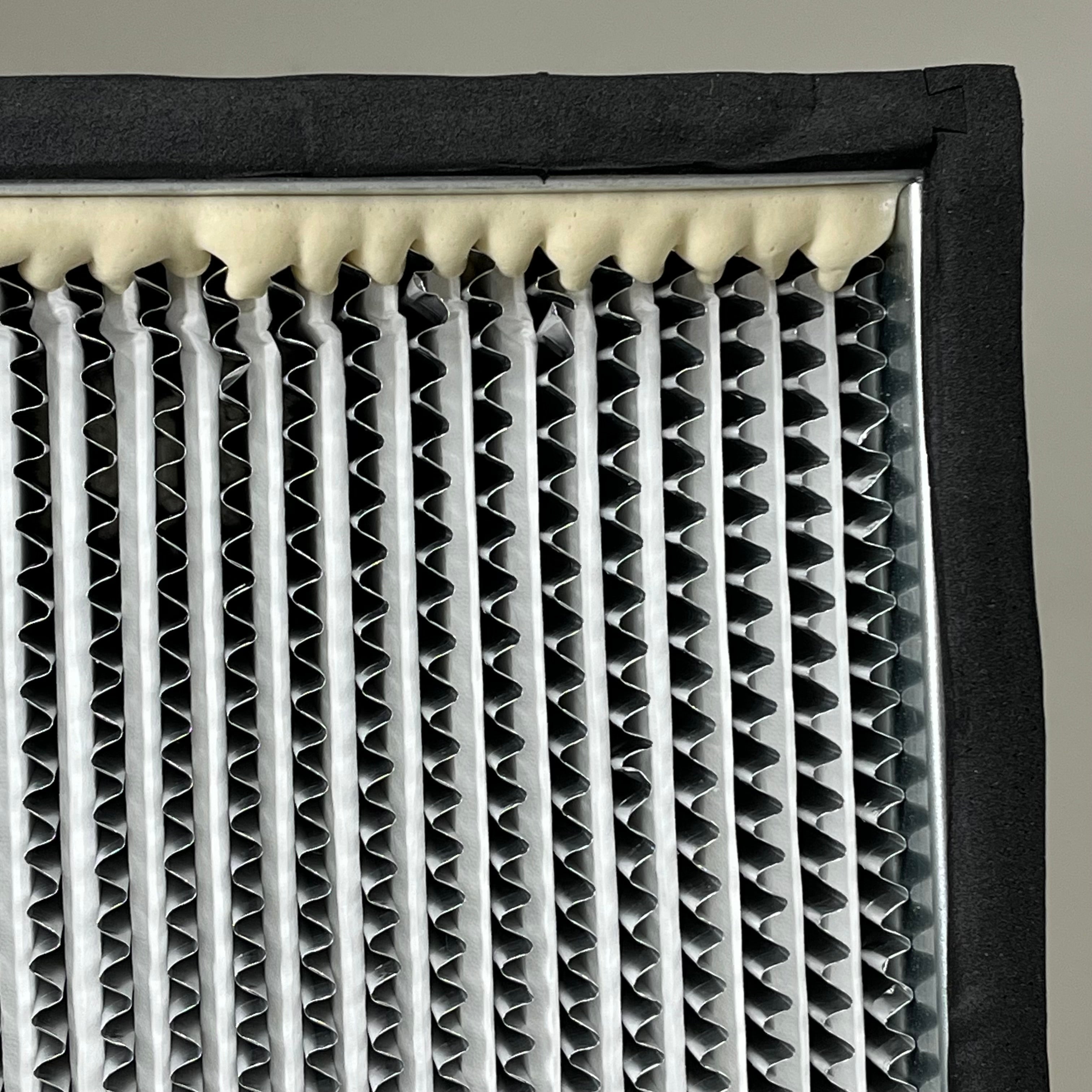 BIOMAX Koch Filter H49B3X2 High Efficiency Particulate Air (HEPA) Filter