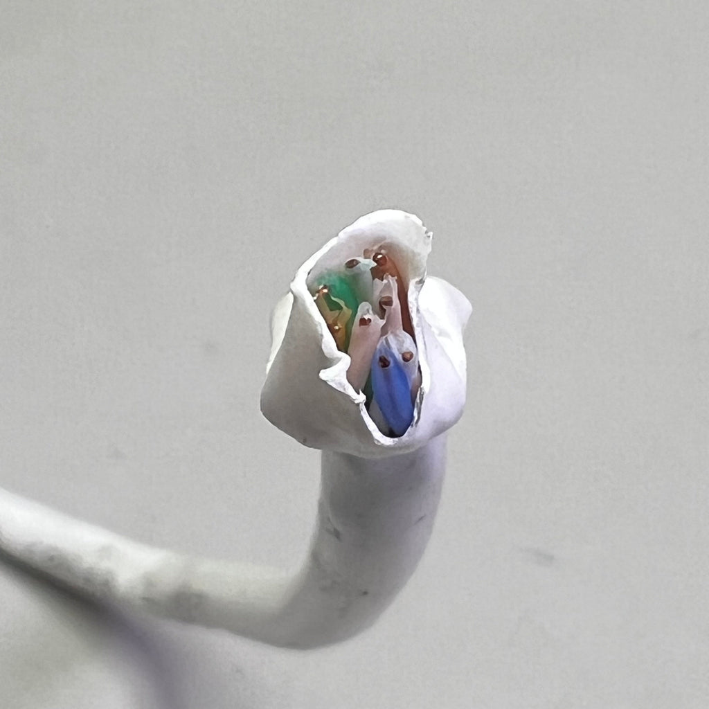 HUBBELL UTP Cable 23 AWG 4 Pair CMP Plenum 1000 ft, White HC6RPEW