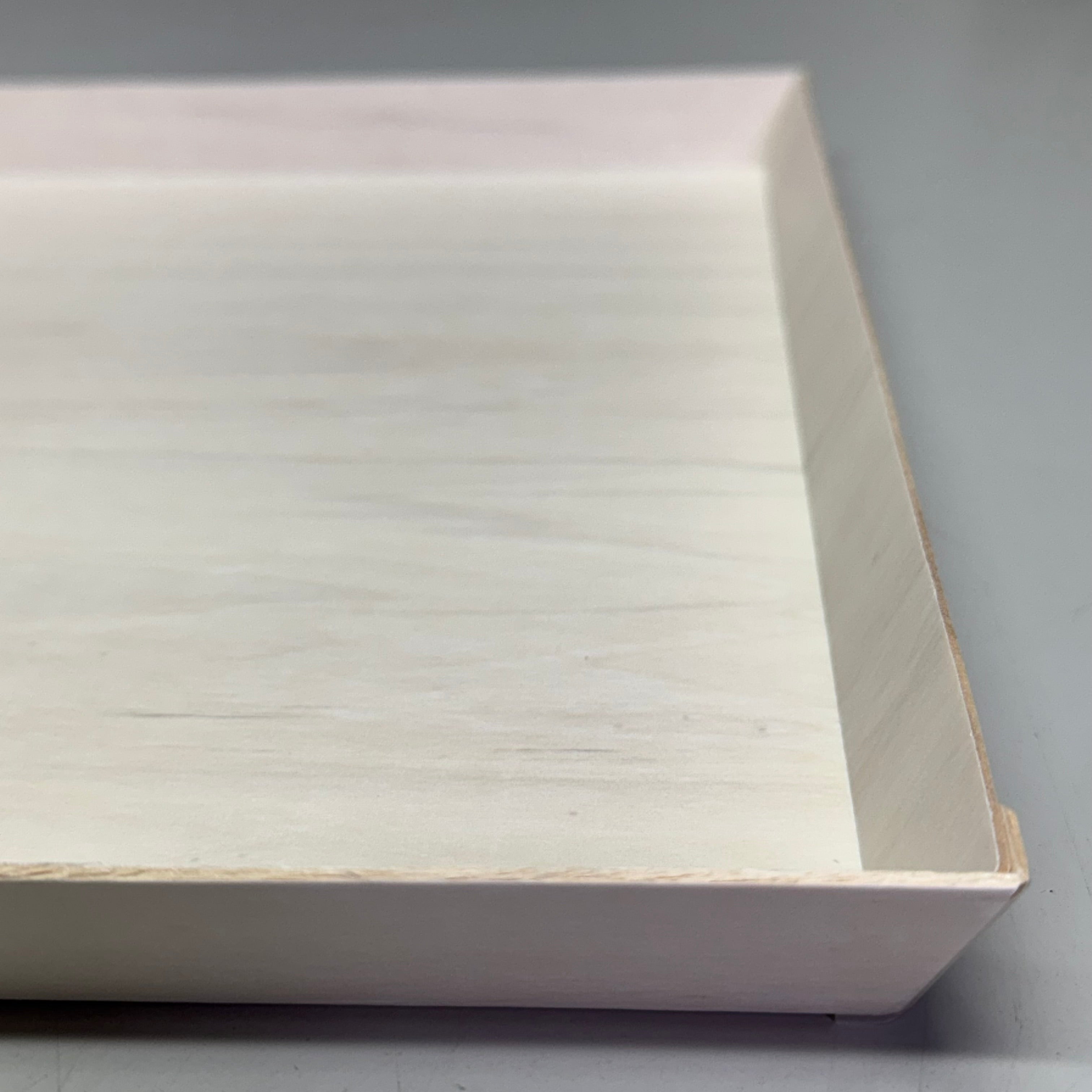 VERTERRA (25 Pcs) 14" x 14" Covered Tray TG-CT-14X14