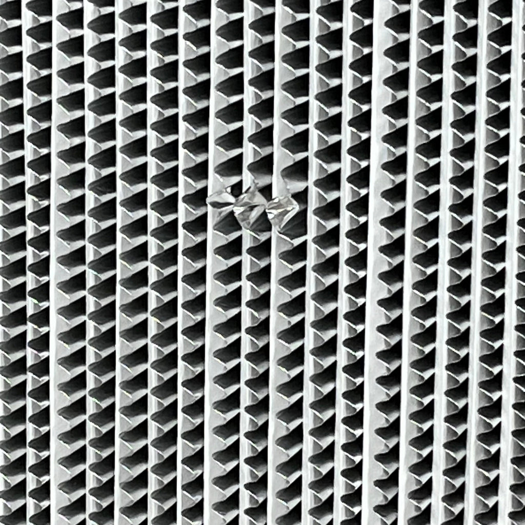 BIOMAX Koch Filter H49B3X2 High Efficiency Particulate Air (HEPA) Filter