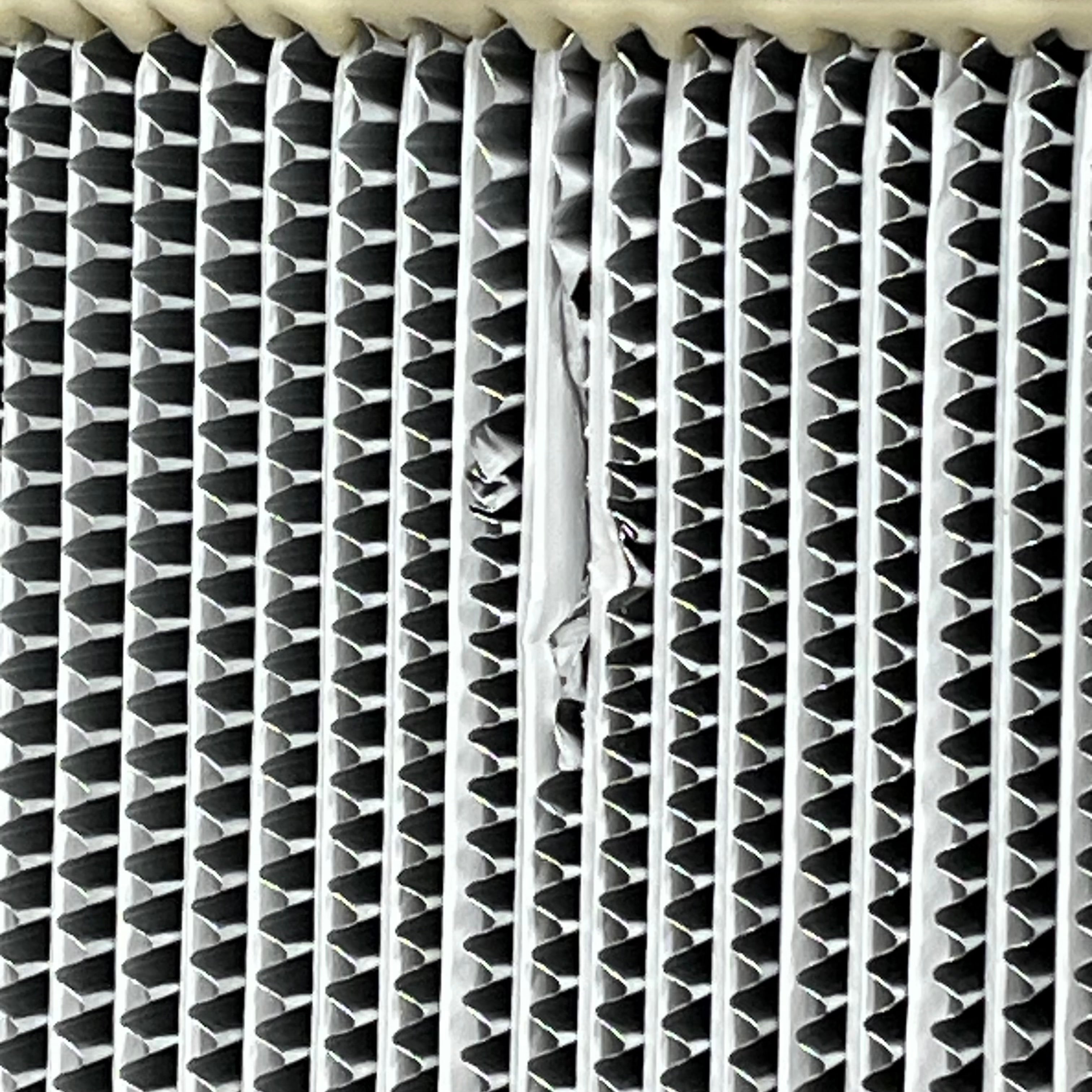BIOMAX Koch Filter H49B3X2 High Efficiency Particulate Air (HEPA) Filter