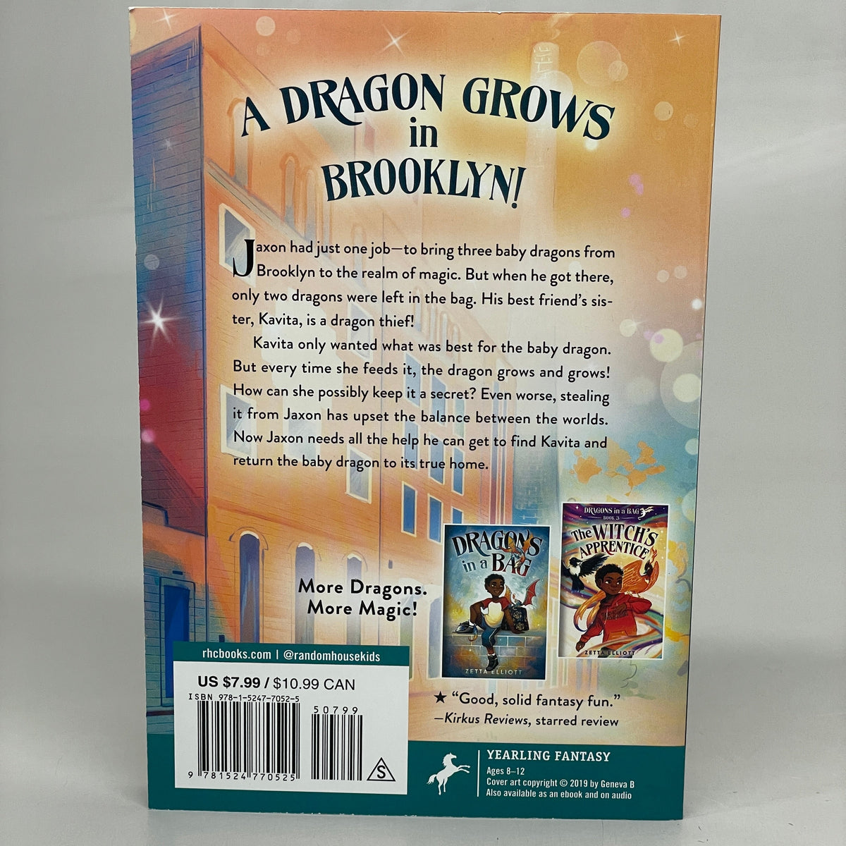 DRAGONS IN A BAG: THE DRAGON THIEF (2 Books) Paperback By Zetta Elliott