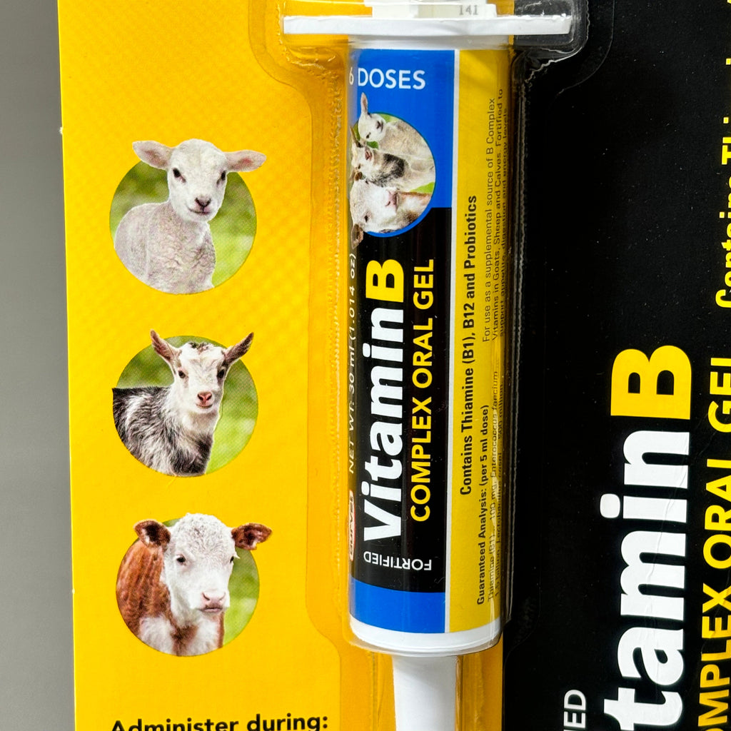 DURVET (2 PACK) Vitamin B Complex Oral Gel for Appetite Digestion Etc 30 mL