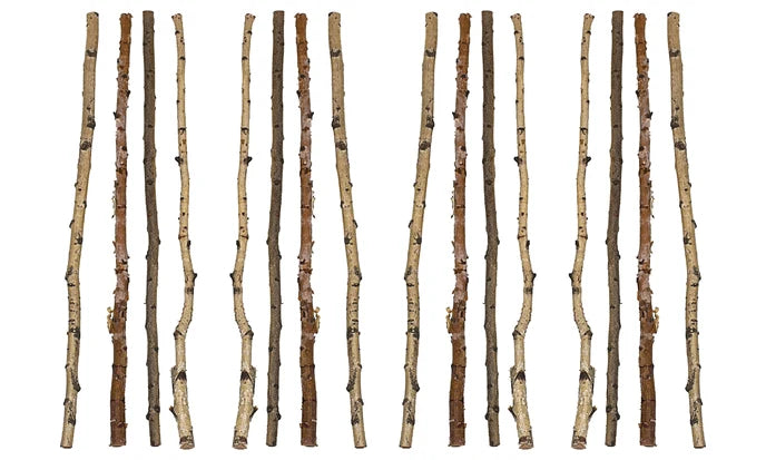 CREATIVECO-OP (16 Pcs) Long Wood Birch Branch 59"L Wood DA3953